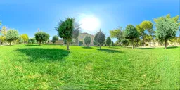 HDRi Green Field with Trees