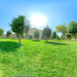HDRi Green Field with Trees