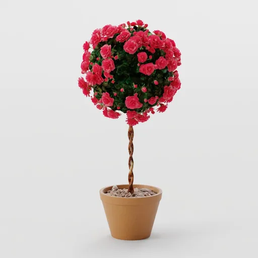Rose Bush Red