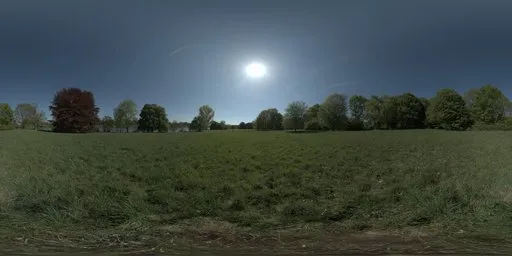 Sunny Grass Field