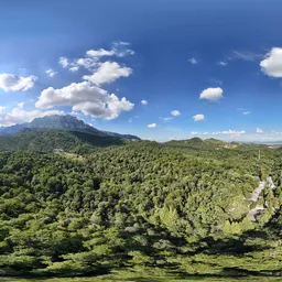 Highsky bluesky cloud green forest