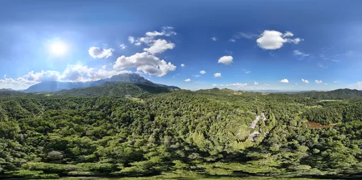 Highsky bluesky cloud green forest