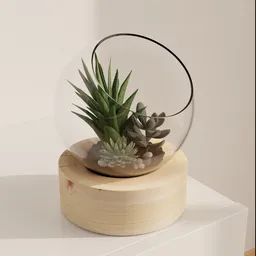 Succulent Glass Terrarium
