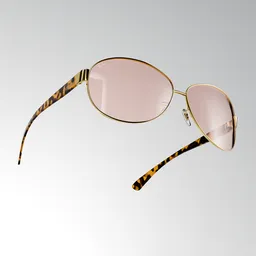 Ray Ban Sunglasses