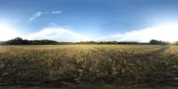 Zambski Field, 17k, unclipped sun