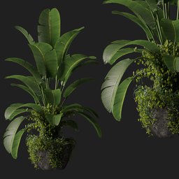 Optimized 3D indoor plant model featuring lush leaves and moss in a stylish pot, suitable for Blender rendering.
