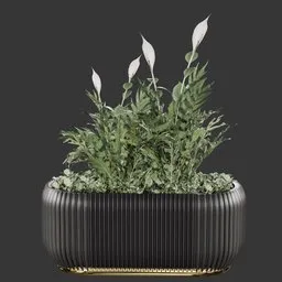 Flower BoxG