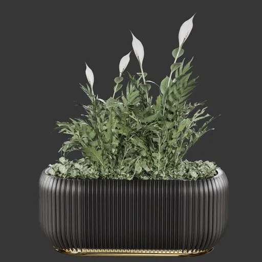 Flower BoxG