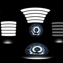 Black White Light Studio