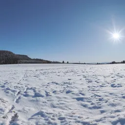 Passendorf Snow