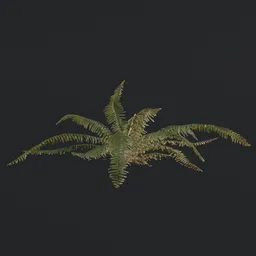 Highly detailed 3D fern model with PBR textures, perfect for Blender renderings and game environments.