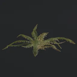 "Game-ready Tropical Fern c1 3D model for Blender 3D with PBR textures. Inspired by Vija Celmins and Charles Fremont Conner, this high-quality asset features a wreath of ferns and a unique snappable alligator plant. Perfect for 3D environments and scenes in Unreal Engine and Mapbox."