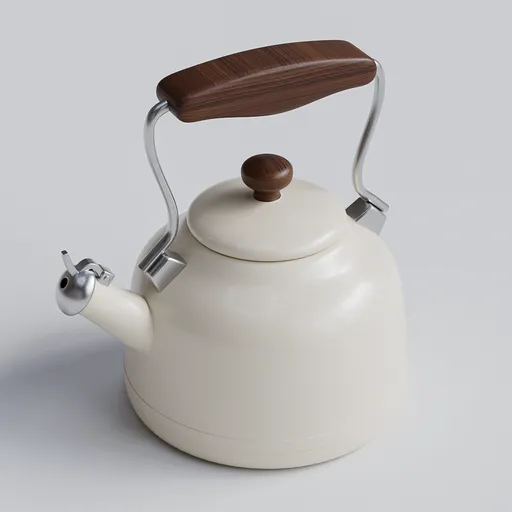 Stovetop Kettle