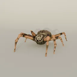 Giant Spider