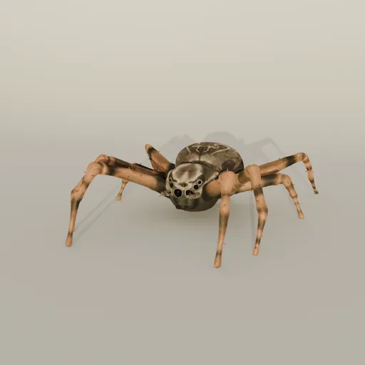 Giant Spider