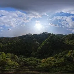 Cloud Mountain Forest