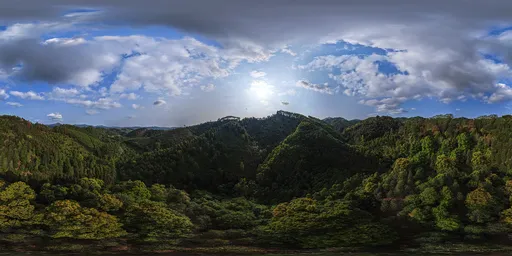 Cloud Mountain Forest