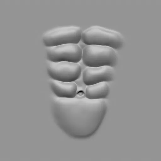 ER_Muscle brush 33