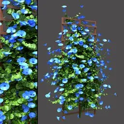 Blue Morning Glory Trellis