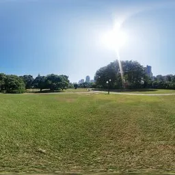 The Meadow at Noon 16k