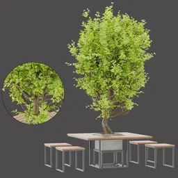 Central Tree Dining Table
