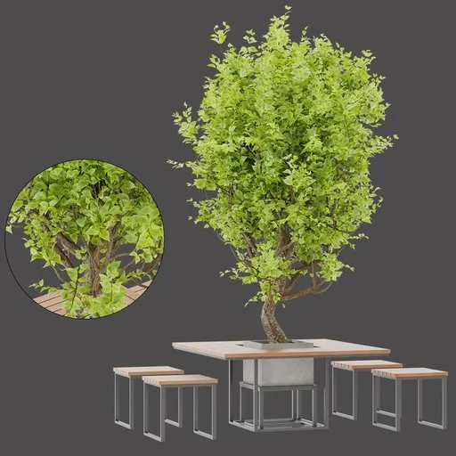Central Tree Dining Table