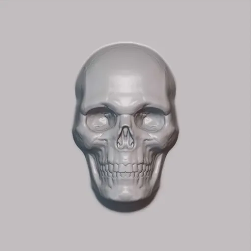Skull