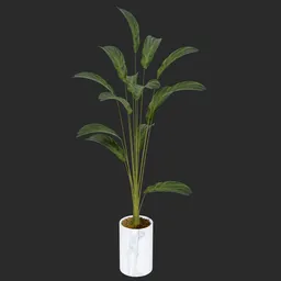 "Realistic indoor plant in a pot on a white marble table, with long attractive stems and optimized polygons for Blender 3D. Lighting enhances the natural look of the plant in this 3D model by Nōami."