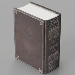 Old leather book
