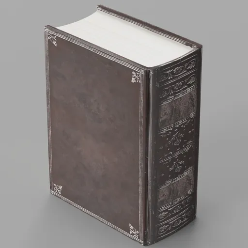 Old leather book