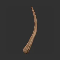 Whip Horn