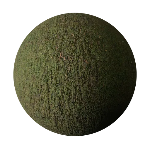 Mossy Rocks