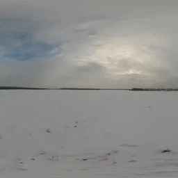 Snow Field