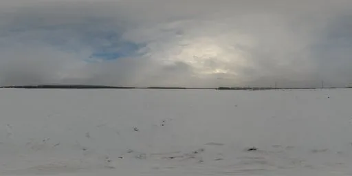 Snow Field