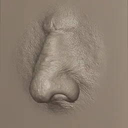 Male Nose Chubby Detailed