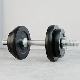 Realsitic dumbbell