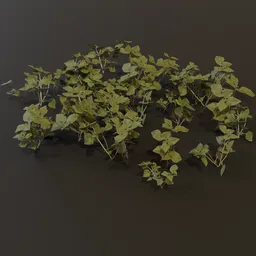 Ground Cover Grass Patch GN