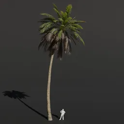 Palm Tree Large Bent