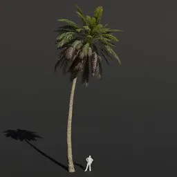 Palm Tree Large Bent