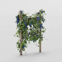 Tall Grapevine