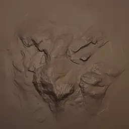 Rock Rugged Brush n1625 2