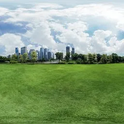 Urban grass under the clouds