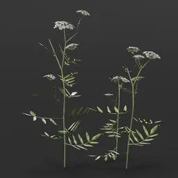 Realistic 3D model of Lapland Poppy plants, ideal for enhancing virtual game scenes and 3D environments.