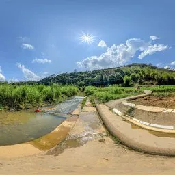 Sunny afternoon by the creek