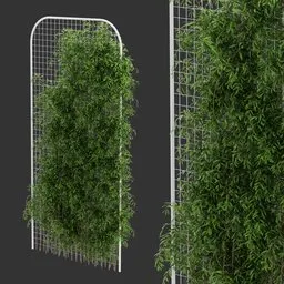 Fence Ivy Simple Plant AQ