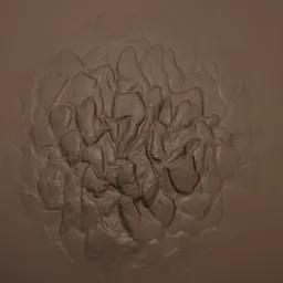 Ground Rock Brush n17252