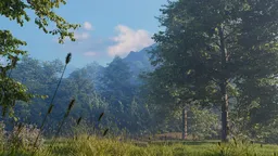 Green Forest Landscape