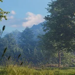 Green Forest Landscape