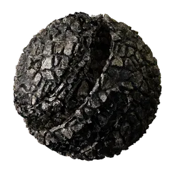 Cracked Mud Soil