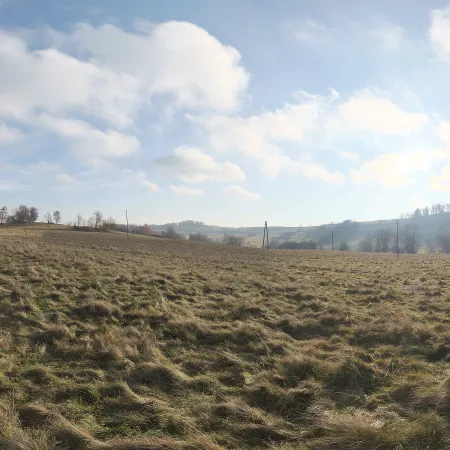Ludwikowice Farmland